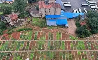 100元租20平菜地？共享菜園藏著治理智慧
